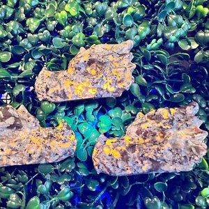 Natural Yooperlite Dragon Head Carvings *UV Reactive*